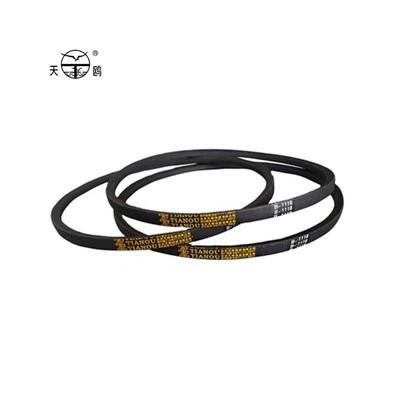 E Cintura trapezoidale normale