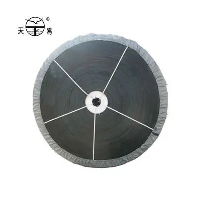 acquistare nastro trasportatore